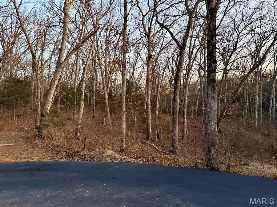 3 Woodbridge Creek Drive, Wentzville, MO 63385 - #3