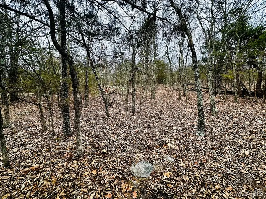 1920 Lake Forest Drive, Park Hills, MO 63601 - #3