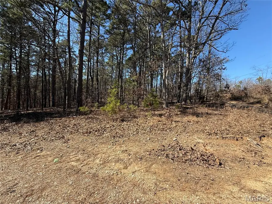 10066 Fish Hook Road, Potosi, MO 63664 - #2