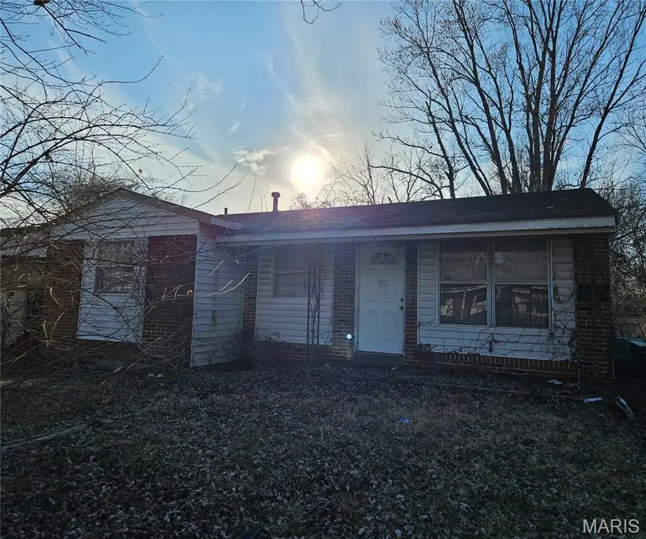 10423 Royal Drive, Saint Louis, MO 63136 - #1