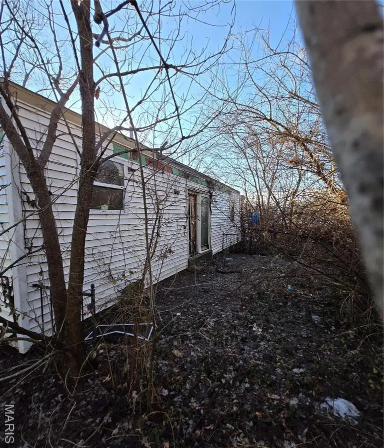 10423 Royal Drive, Saint Louis, MO 63136 - #3