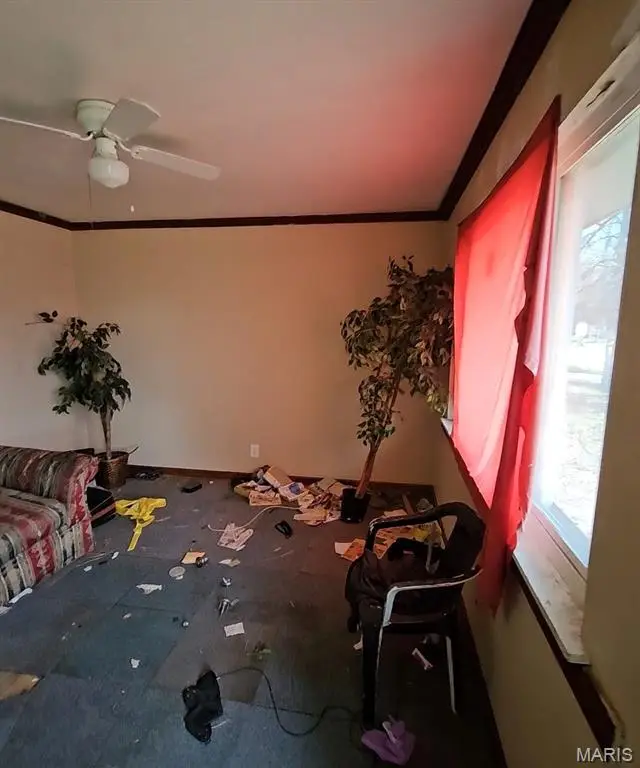 10117 Royal Drive, Saint Louis, MO 63136 - #2