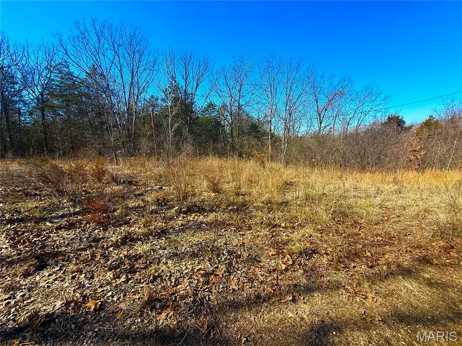 1039 Florence Freeway, Park Hills, MO 63601 - #3