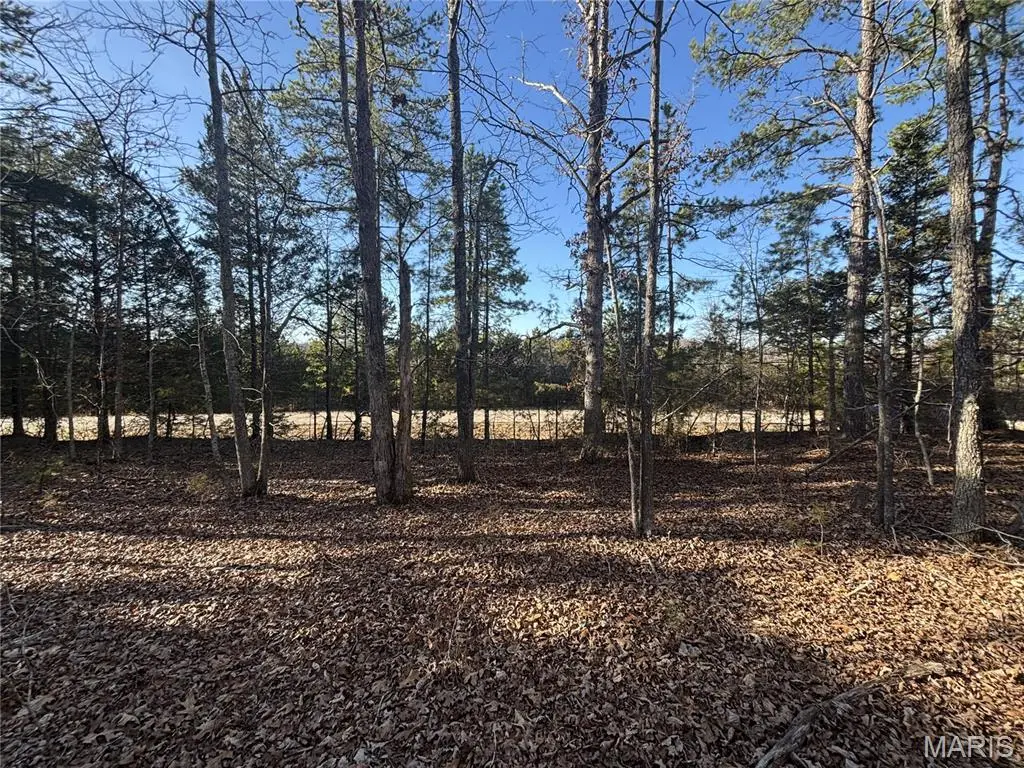 000 State Highway M, Silva, MO 63964 - #1