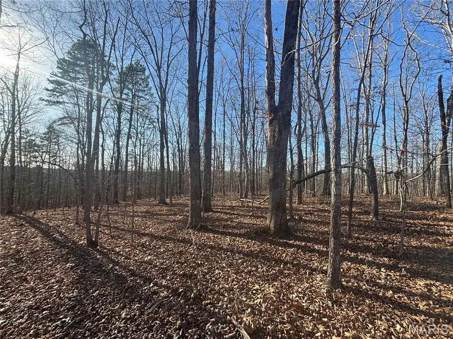 000 State Highway M, Silva, MO 63964 - #2