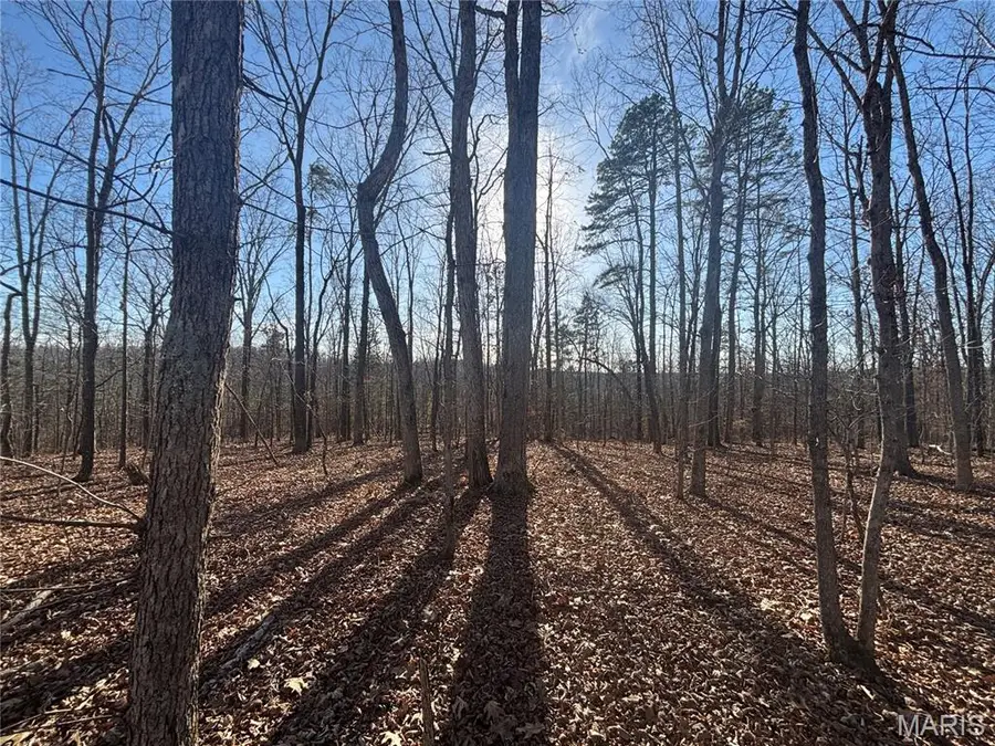 000 State Highway M, Silva, MO 63964 - #3