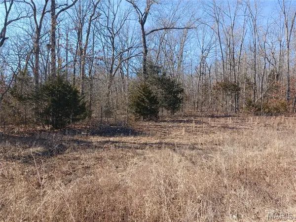 837 Pine Ridge Road, Bonne Terre, MO 63628