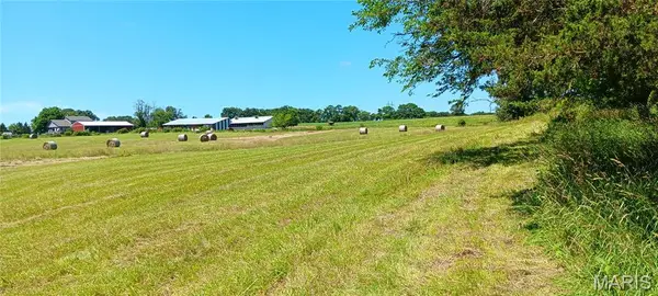 6991 Ely Road, Hartville, MO 65667