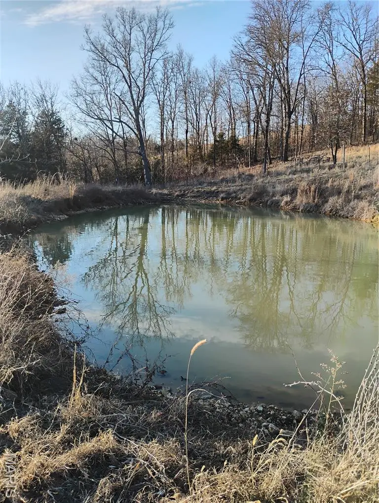 12315 Stave Mill Road, Cabool, MO 65689 - #3