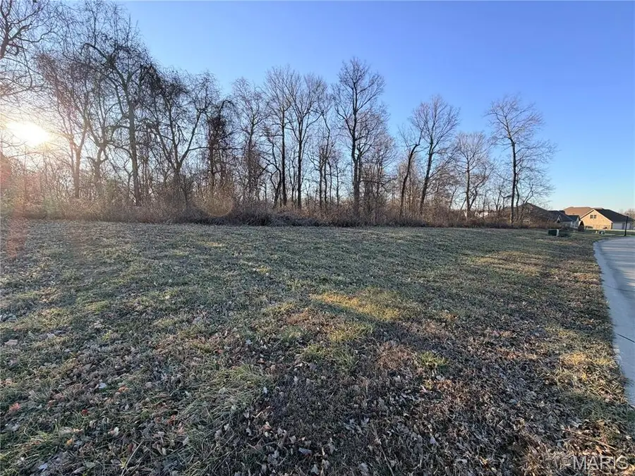 6023 Cardrona Drive, Cape Girardeau, MO 63701 - #2