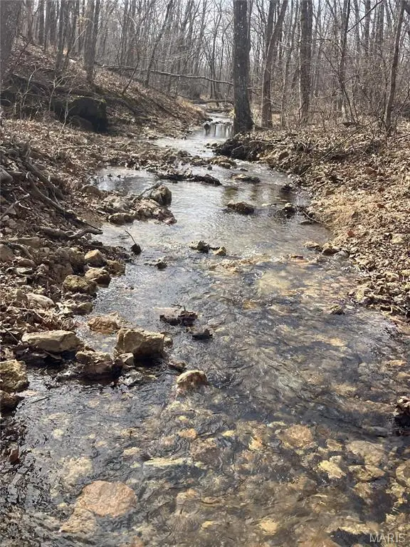 203 Madison Cr 410, Fredericktown, MO 63645 - #3