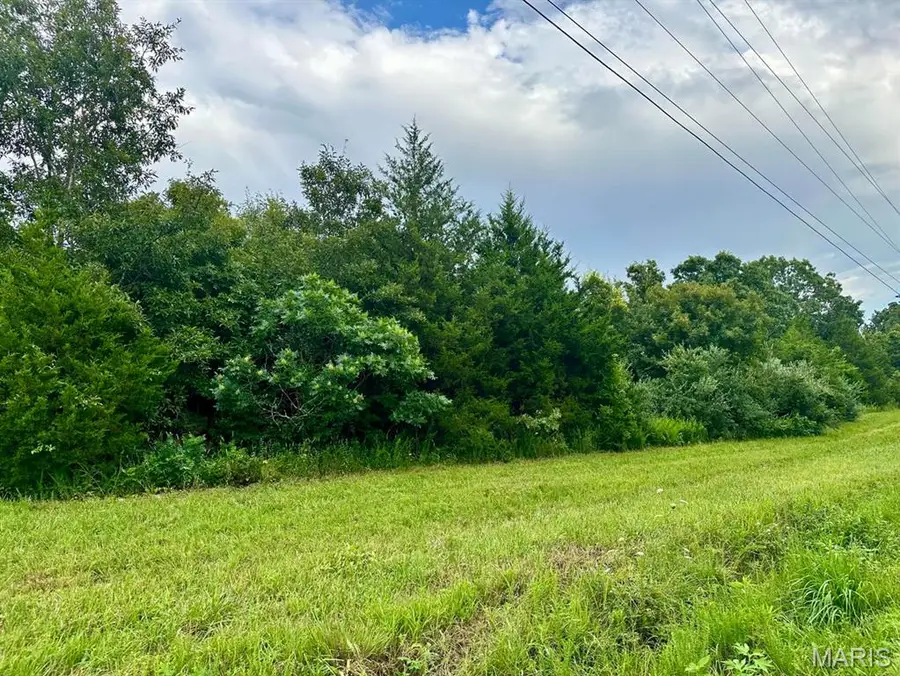 000 Co Rd 4180 Lot 1, Salem, MO 65560 - #3