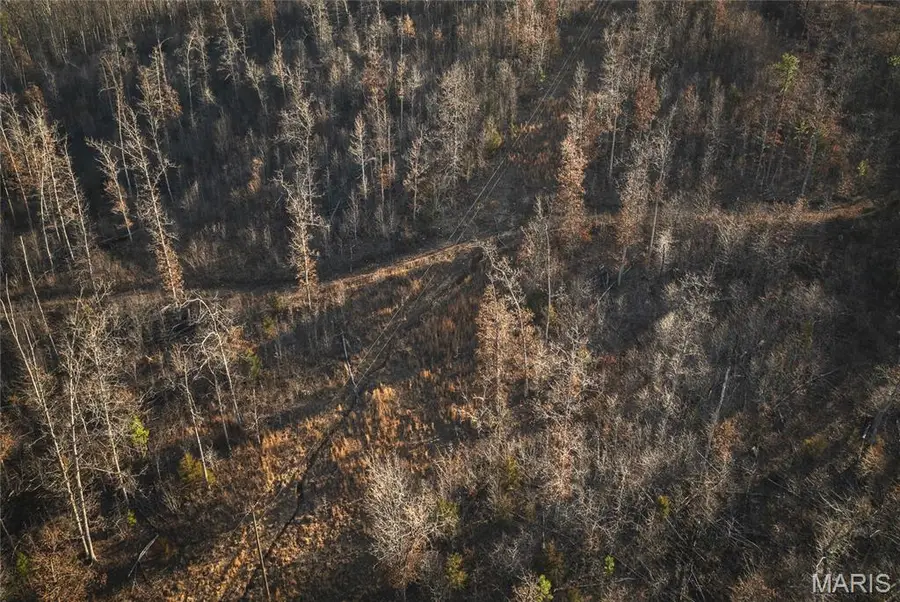 000 County Road 19-208 Tract 2, Eminence, MO 65446 - #3