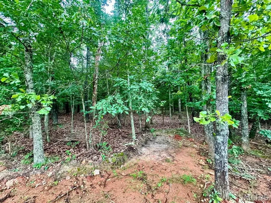 000 Co Rd 4180 Lot 10, Salem, MO 65560 - #2