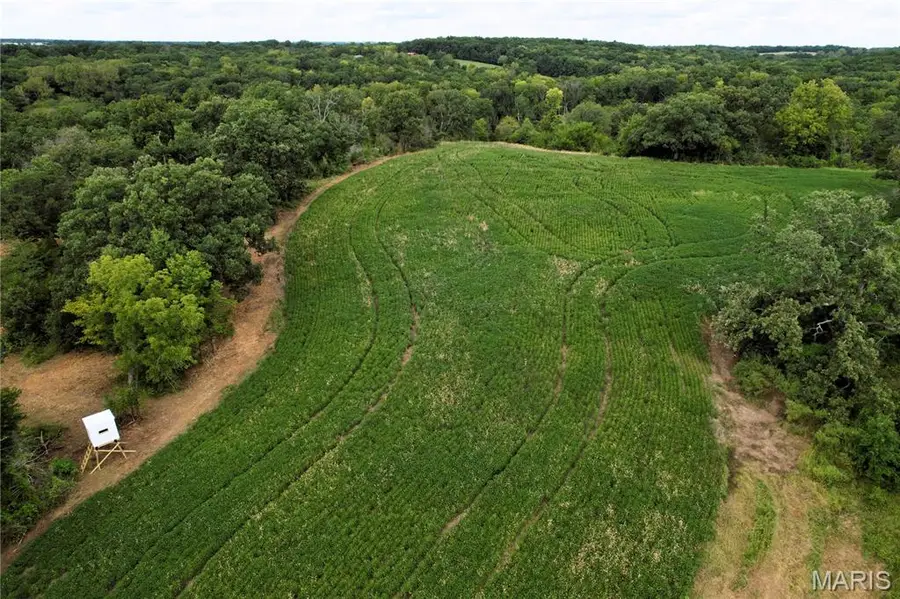 0 Helmet Rd., Medicine, MO 64645 - #3