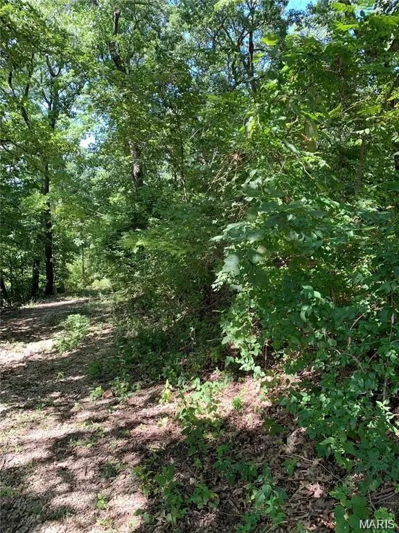 Lot 1 Dogwood Acres, Imperial, MO 63052 - #2