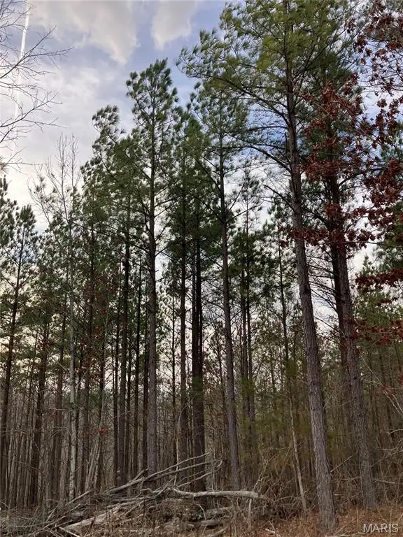 205 Madison Cr 410, Fredericktown, MO 63645 - #2