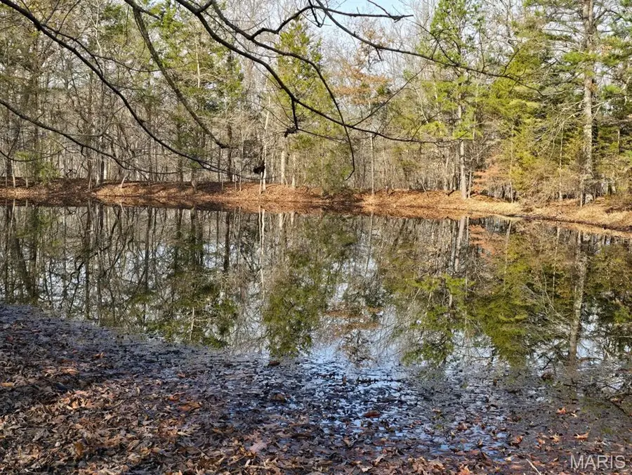 000 Airport Road, Houston, MO 65483 - #3