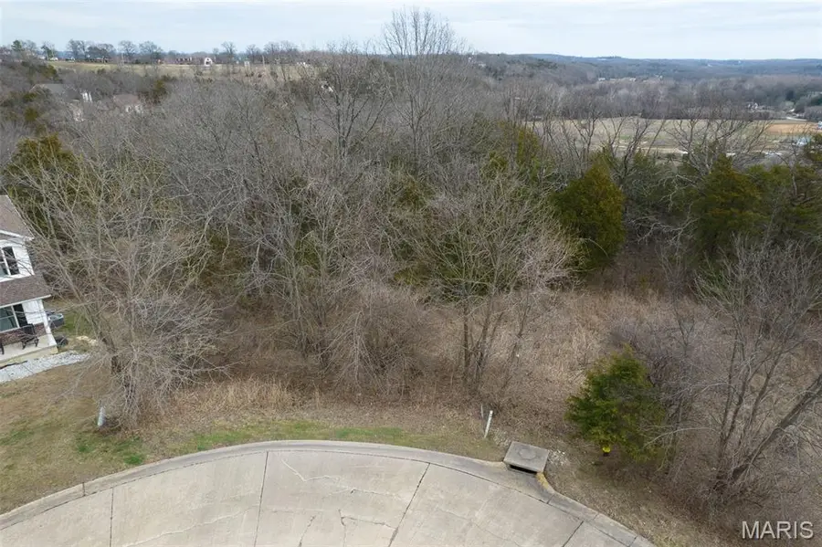 26 & 30 Ridgepoint Meadows Court, Union, MO 63084 - #2