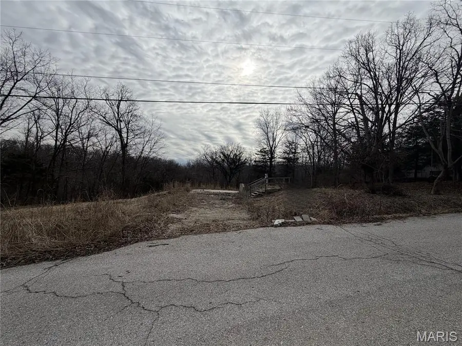 324 Sirius Road, De Soto, MO 63020 - #2