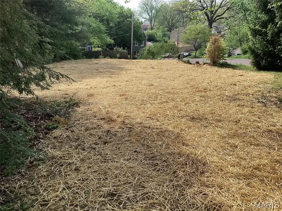 7528 Suffolk Avenue, Shrewsbury, MO 63119 - #2