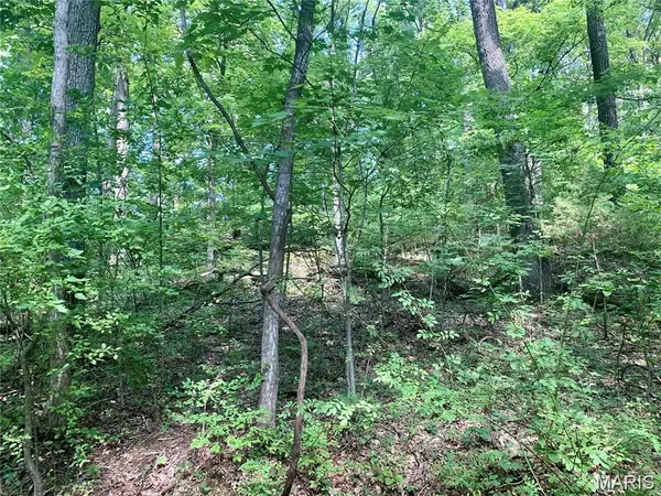 Lot 2 Dogwood Acres, Imperial, MO 63052