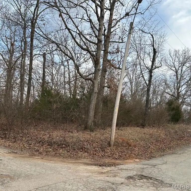 0 Pawnee, Irondale, MO 63648 - #2