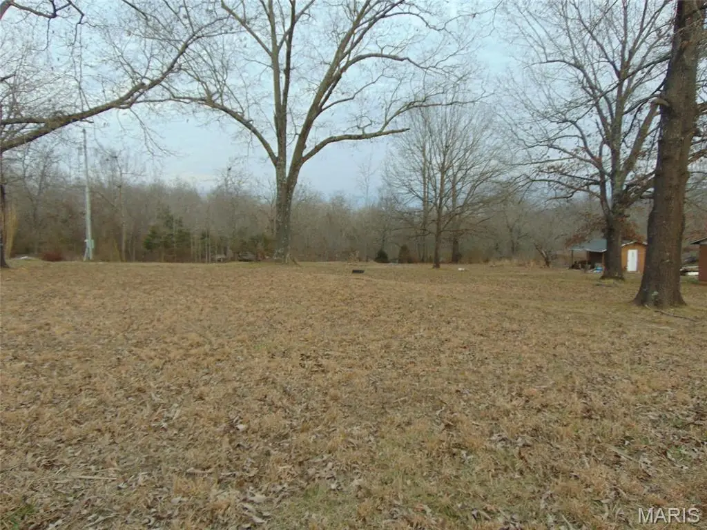 142 Ripley 142w-a, Doniphan, MO 63935 - #1