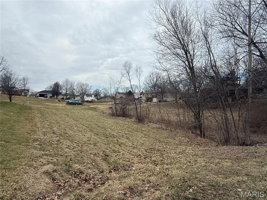 1171 San Juan Drive, Edwardsville, IL 62025 - #3