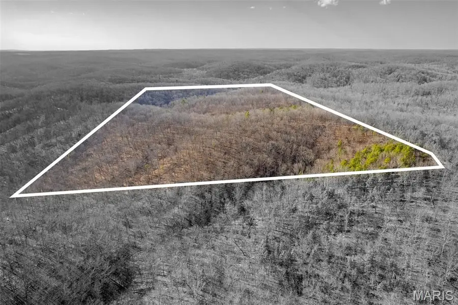 0 County Road 426, Ellington, MO 63638 - #2