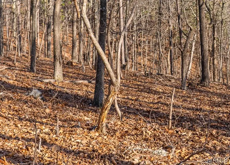 0 County Road 426, Ellington, MO 63638 - #3