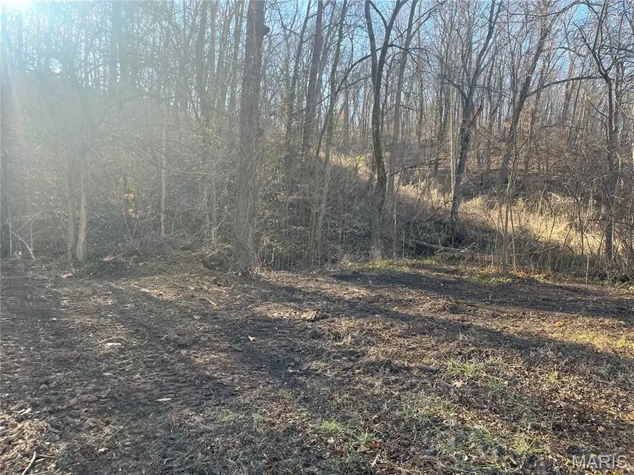 1004 Olive Street, New Haven, MO 63068 - #2