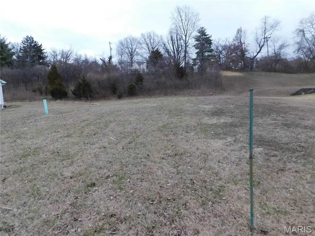 12022 Parker Estates Court, Florissant, MO 63033 - #1