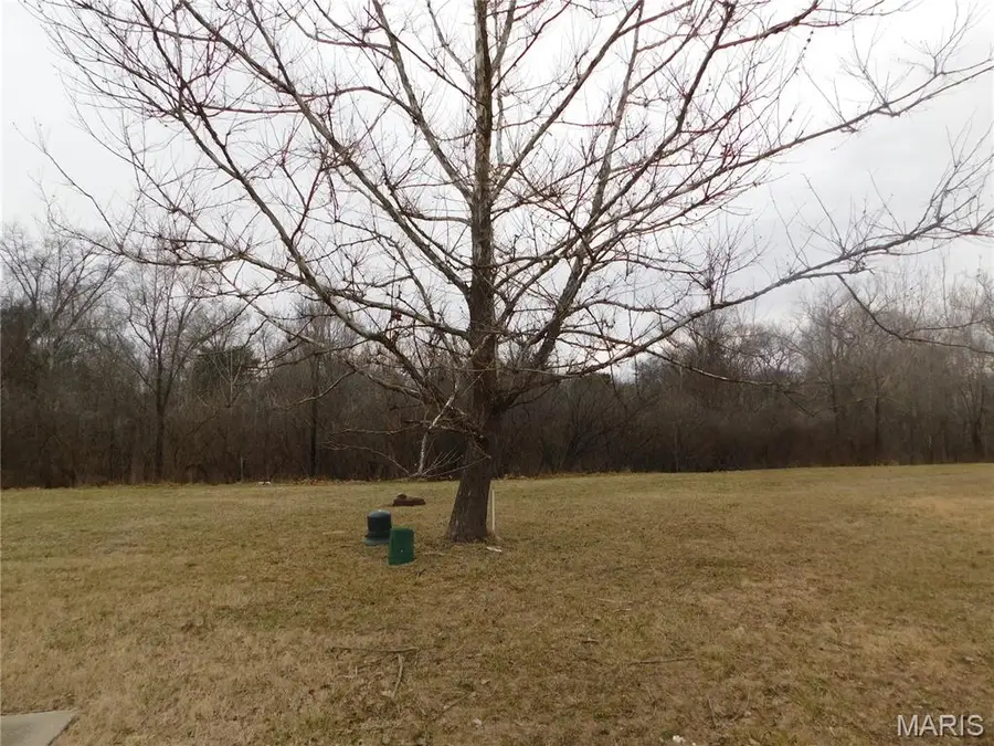 12027 Parker Estates Court, Florissant, MO 63033 - #2