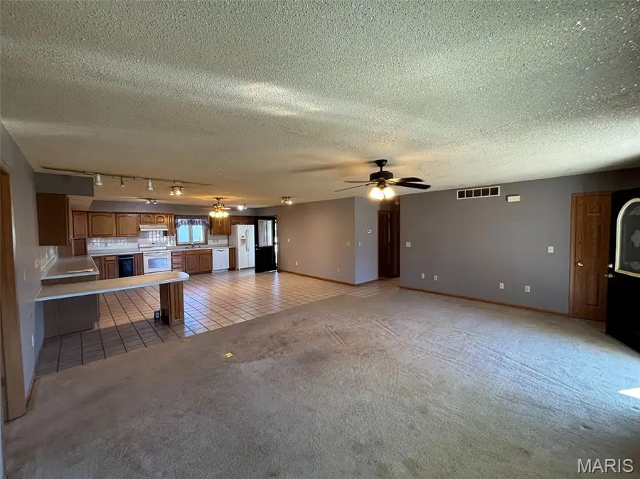 705 N Pine Street, Laddonia, MO 63352 - #3