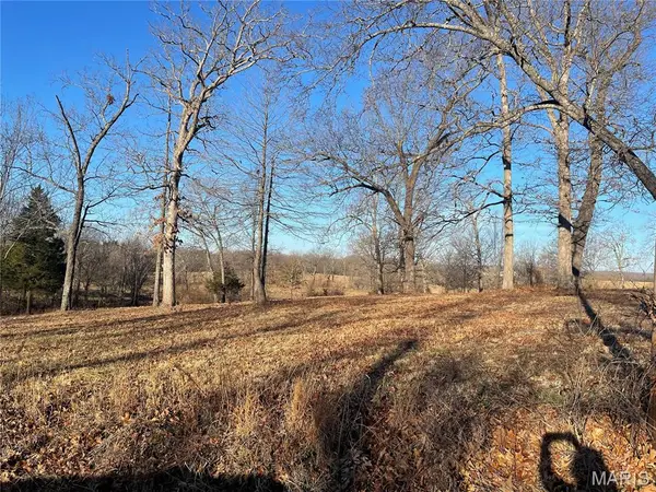 TBD Dilworth Lane, Salem, MO 65560