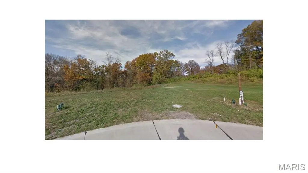 12039 Parker Estates Court, Florissant, MO 63033 - #1