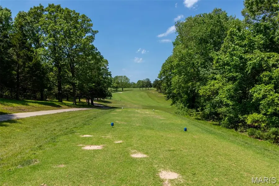 Sec 14 Lot 2 Swanee Drive, Hillsboro, MO 63050 - #2