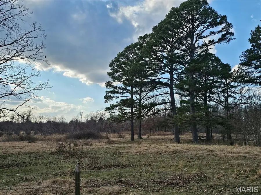 31947N Us Hwy 60, Ellsinore, MO 63937 - #2