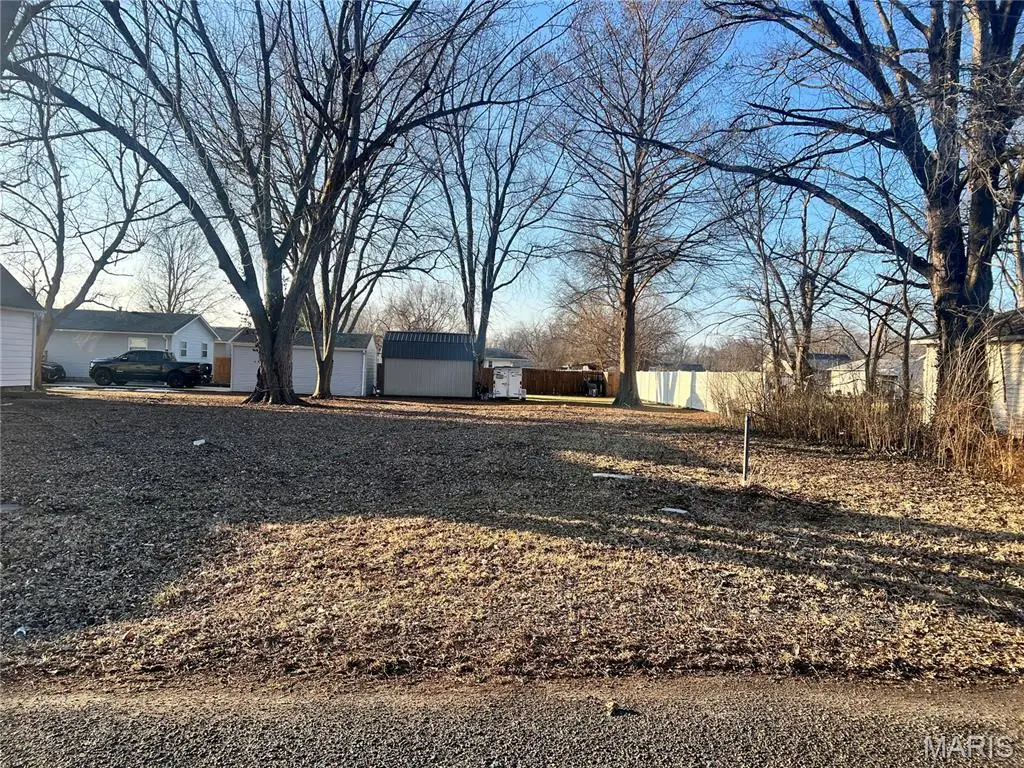 920 E Martin, Litchfield, IL 62056 - #1