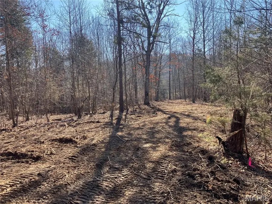 211 Madison Cr 410, Fredericktown, MO 63645 - #2