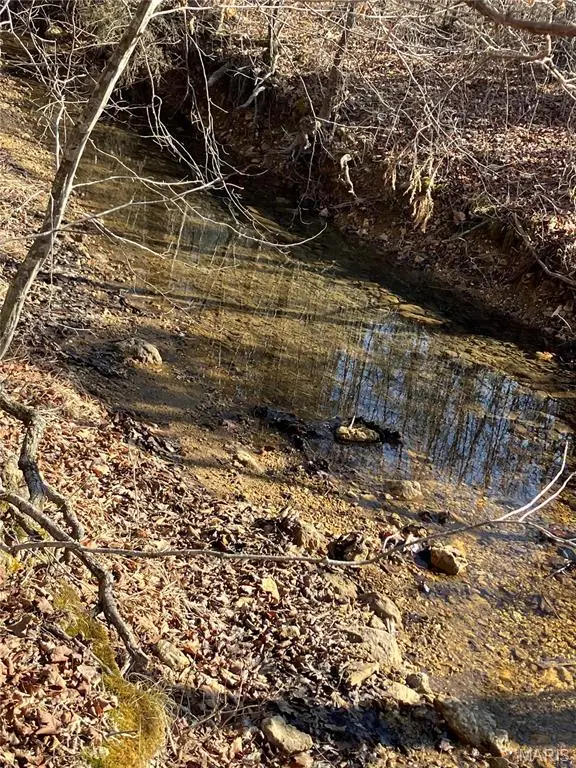 211 Madison Cr 410, Fredericktown, MO 63645 - #3