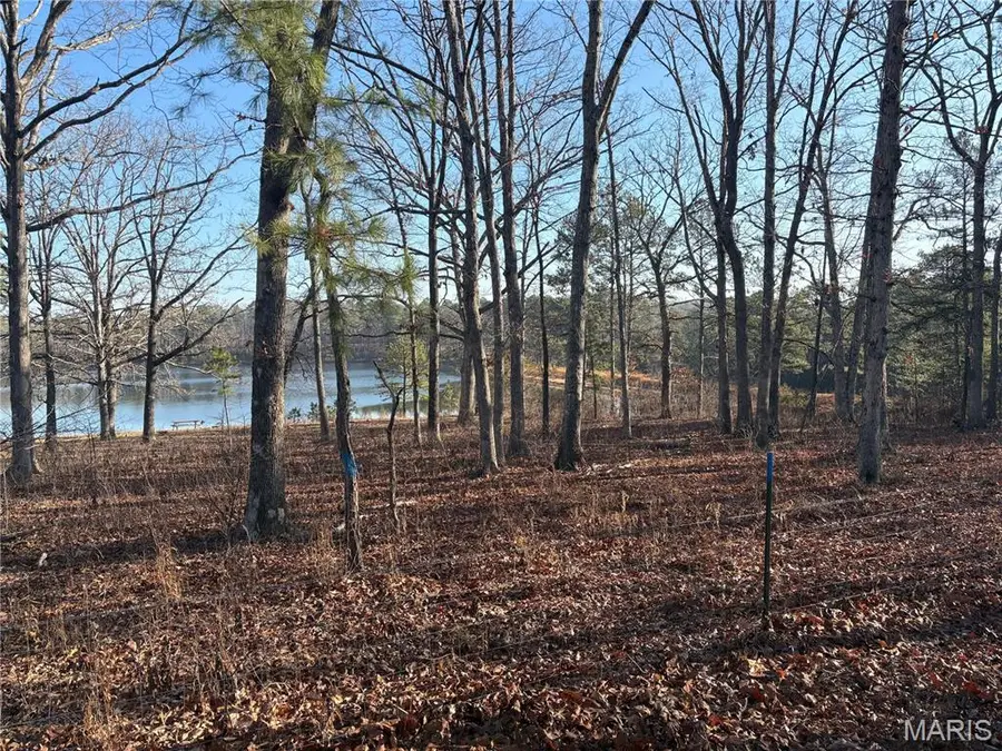748 Miller Lake Road, Van Buren, MO 63965 - #2