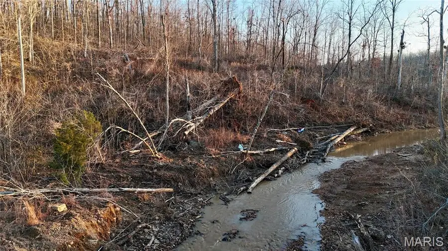 0 Highway 34, Glen Allen, MO 63751 - #3