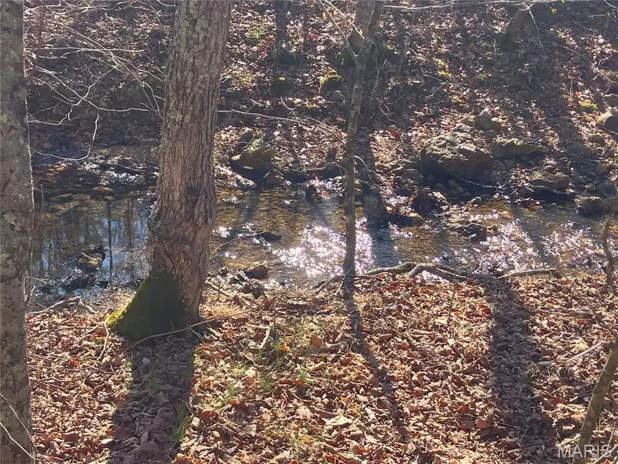 212 Madison Cr 410, Fredericktown, MO 63645 - #2