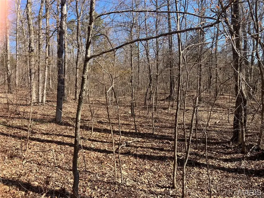 212 Madison Cr 410, Fredericktown, MO 63645 - #3