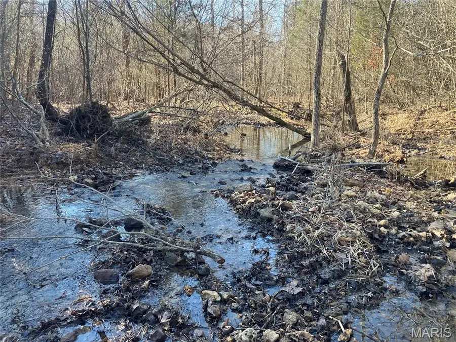 213 Madison Cr 410, Fredericktown, MO 63645 - #2