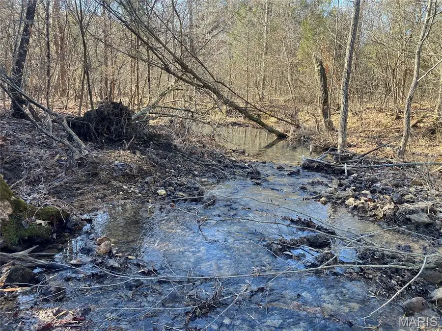 213 Madison Cr 410, Fredericktown, MO 63645 - #3