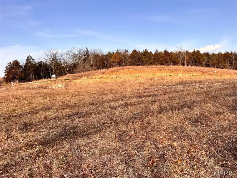 3513 Butler Valley Drive, Imperial, MO 63052 - #2