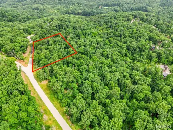 2834 Tyrolean Way Drive, Innsbrook, MO 63390